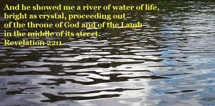 Drinking The River Of Water Of Life Flowing Out Of The Throne In The