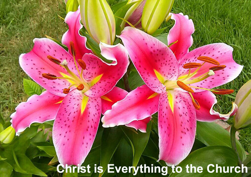 Christ is Everything to the Church for Us to be God's Living Testimony ...