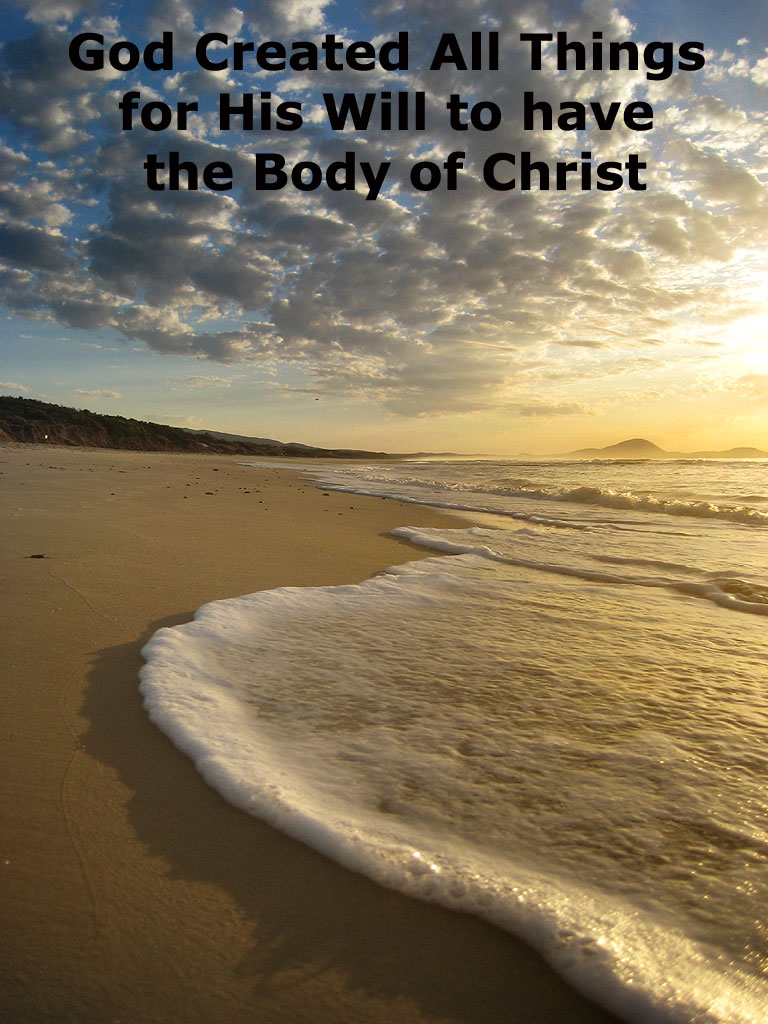 god-created-all-things-for-his-will-to-have-the-body-of-christ-as-his