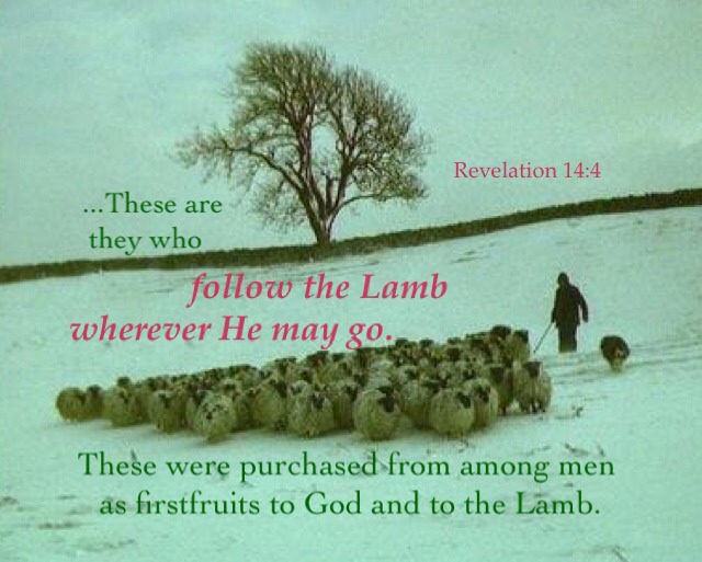 cult of the lamb resurrection old age