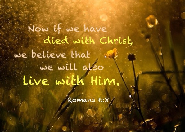 Being Identified with Christ in His Death and Resurrection 