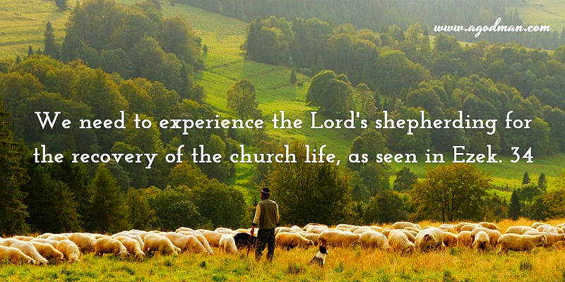 Experiencing the Lord's Shepherding for the Recovery of the Church Life ...