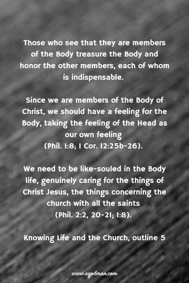 Being Body-Conscious by Caring for the Body and having Christ's Feeling ...