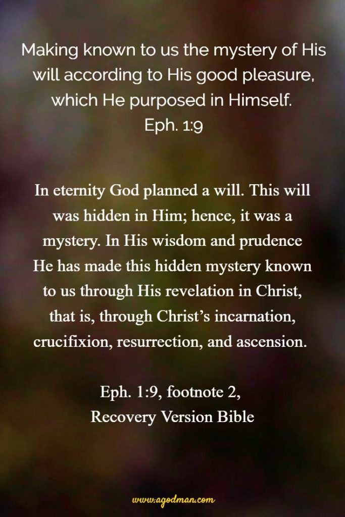 God is a God of Purpose: He Created all things for His Will to Fulfill ...