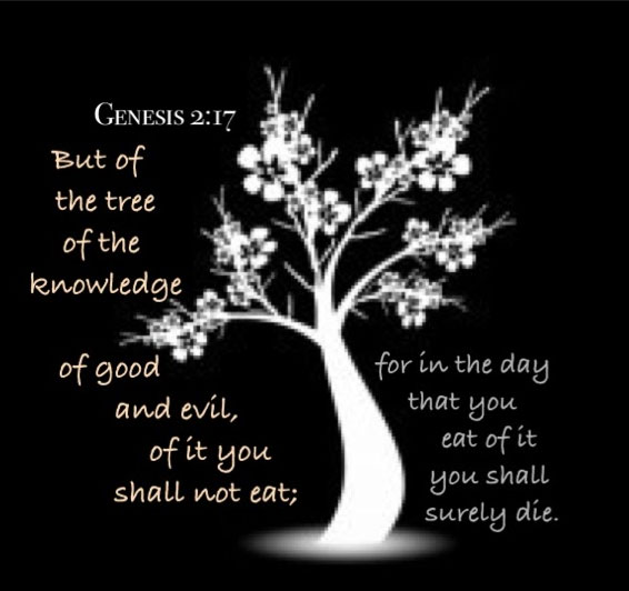 Seeing What the Tree of Knowledge of Good and Evil is and Choosing the Tree  of Life! - agodman.com
