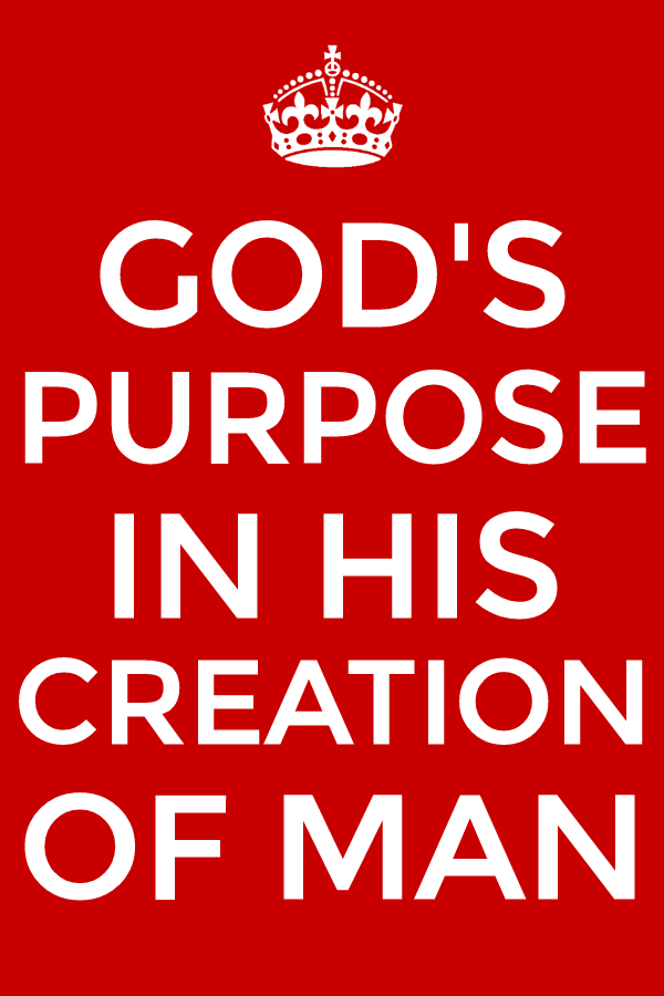 seeing-god-s-purpose-in-creating-man-and-cooperating-with-god-to