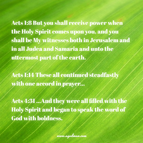 In the Boldness of the Spirit