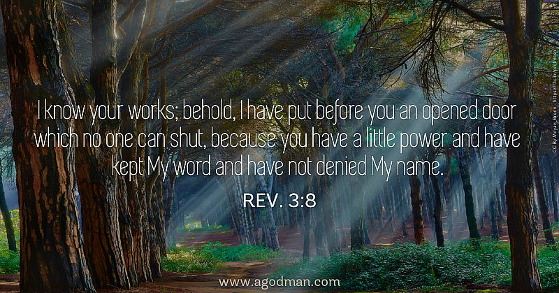 Having an Opened Door and Keeping the Lord's Word with the Little Power ...