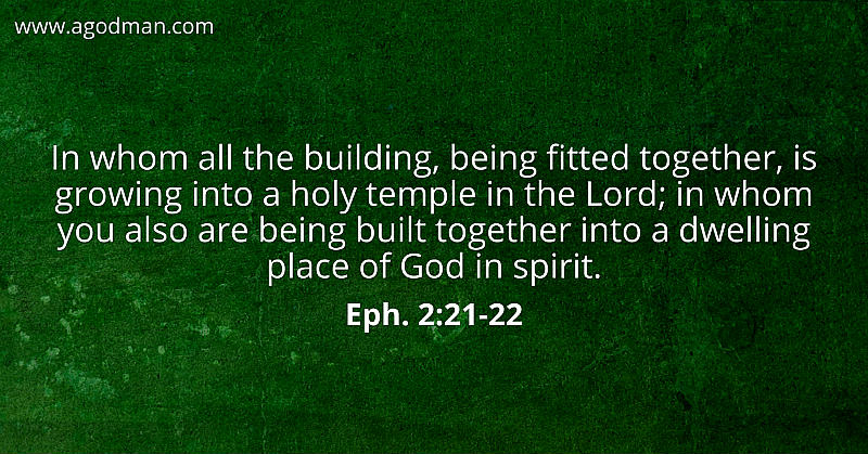 The Lord's Recovery is for the Building up of the Body of Christ