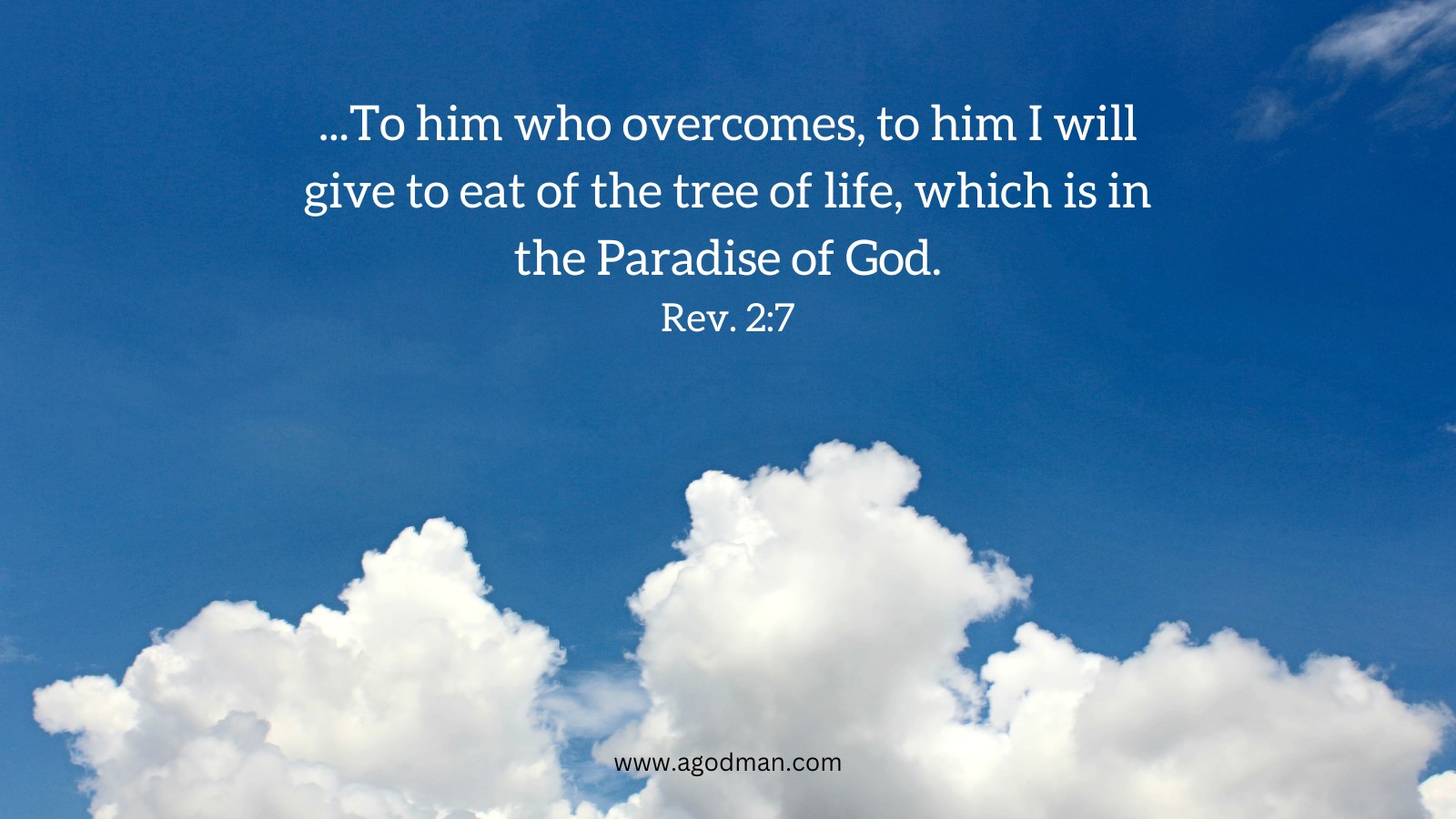 Love The Lord Jesus With The First Love And Eat The Tree Of Life