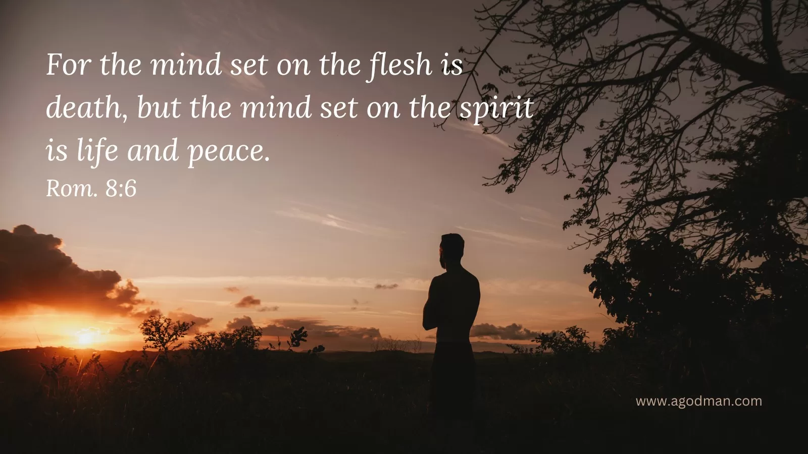 To Exercise our Spirit is to Set our Mind on the Spirit and Discern